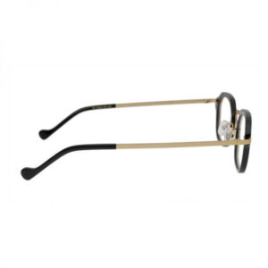 Stainless Steel and Acetate Hybrid Glasses WD998 | Sleek and Functional Design